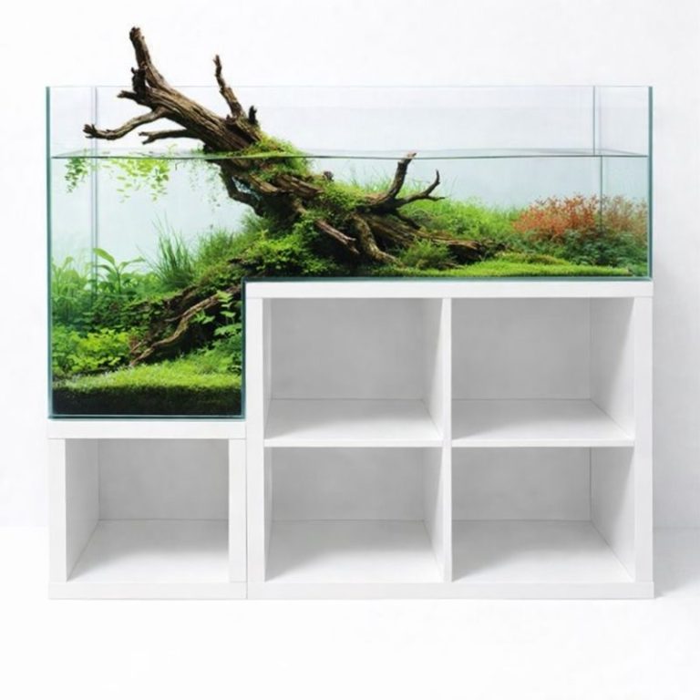 Das Drop-Off Kallax Aquarium.. Das Drop-Off Kallax Aquarium